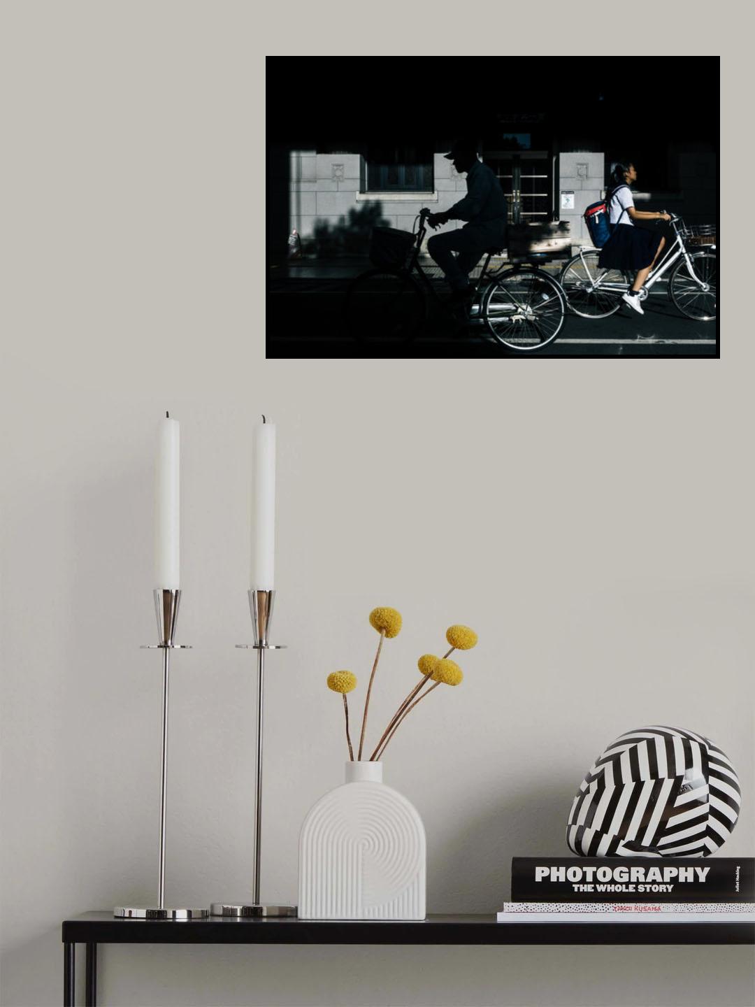 Passing by the shadow Poster och Canvastavla