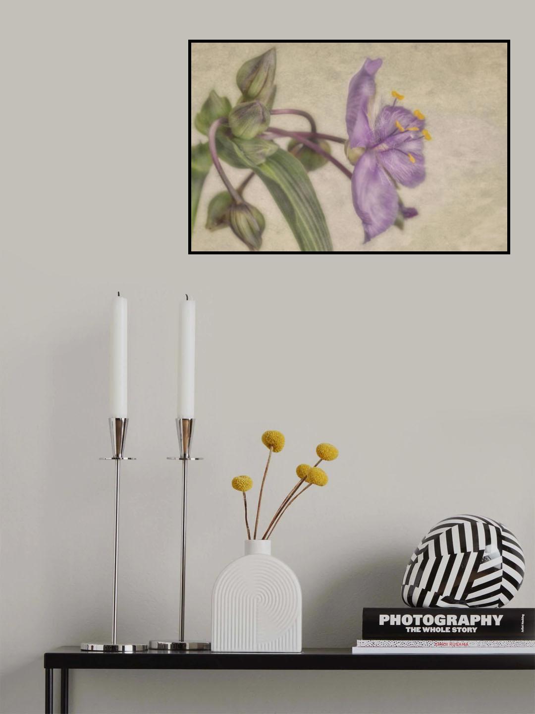 Purple Poster och Canvastavla