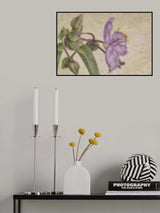 Purple Poster och Canvastavla