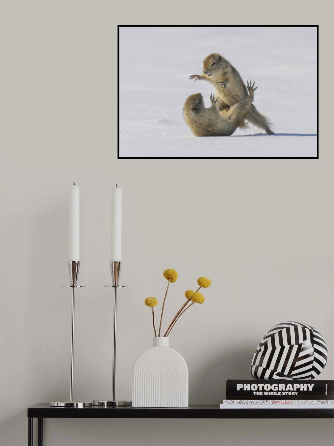 Combatants Poster och Canvastavla