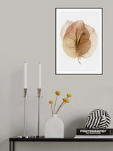 Bougainvillea Study No7 Poster och Canvastavla
