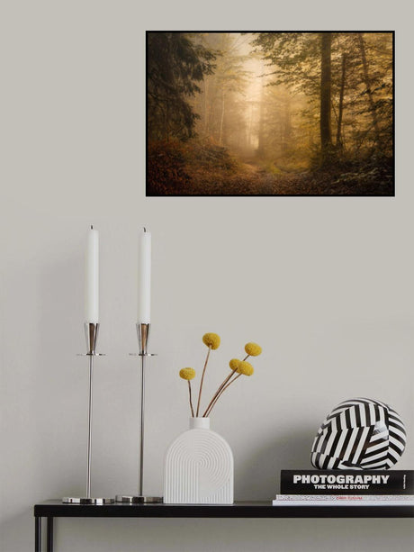 Autumnal Woodland Poster och Canvastavla