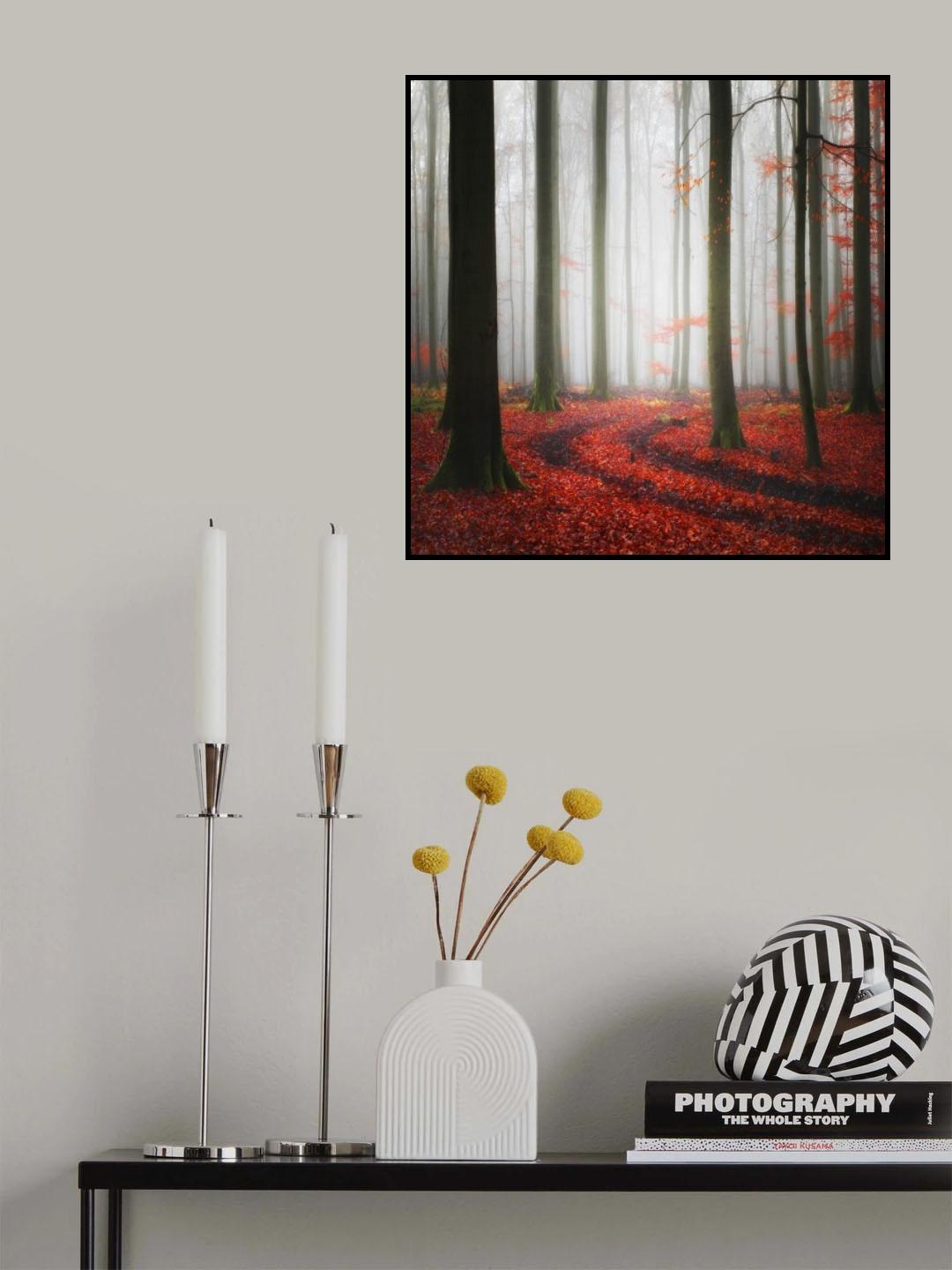 Autumnal Tracks Poster och Canvastavla