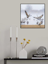Morning Dance Poster och Canvastavla