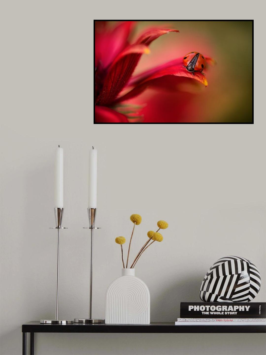 Simply red Poster och Canvastavla