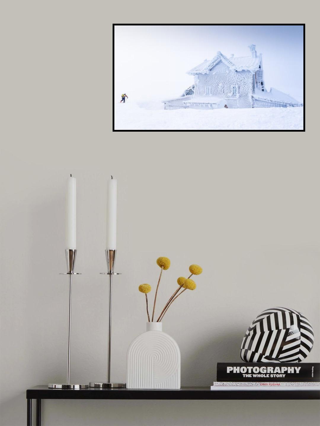 The ice kingdom Poster och Canvastavla
