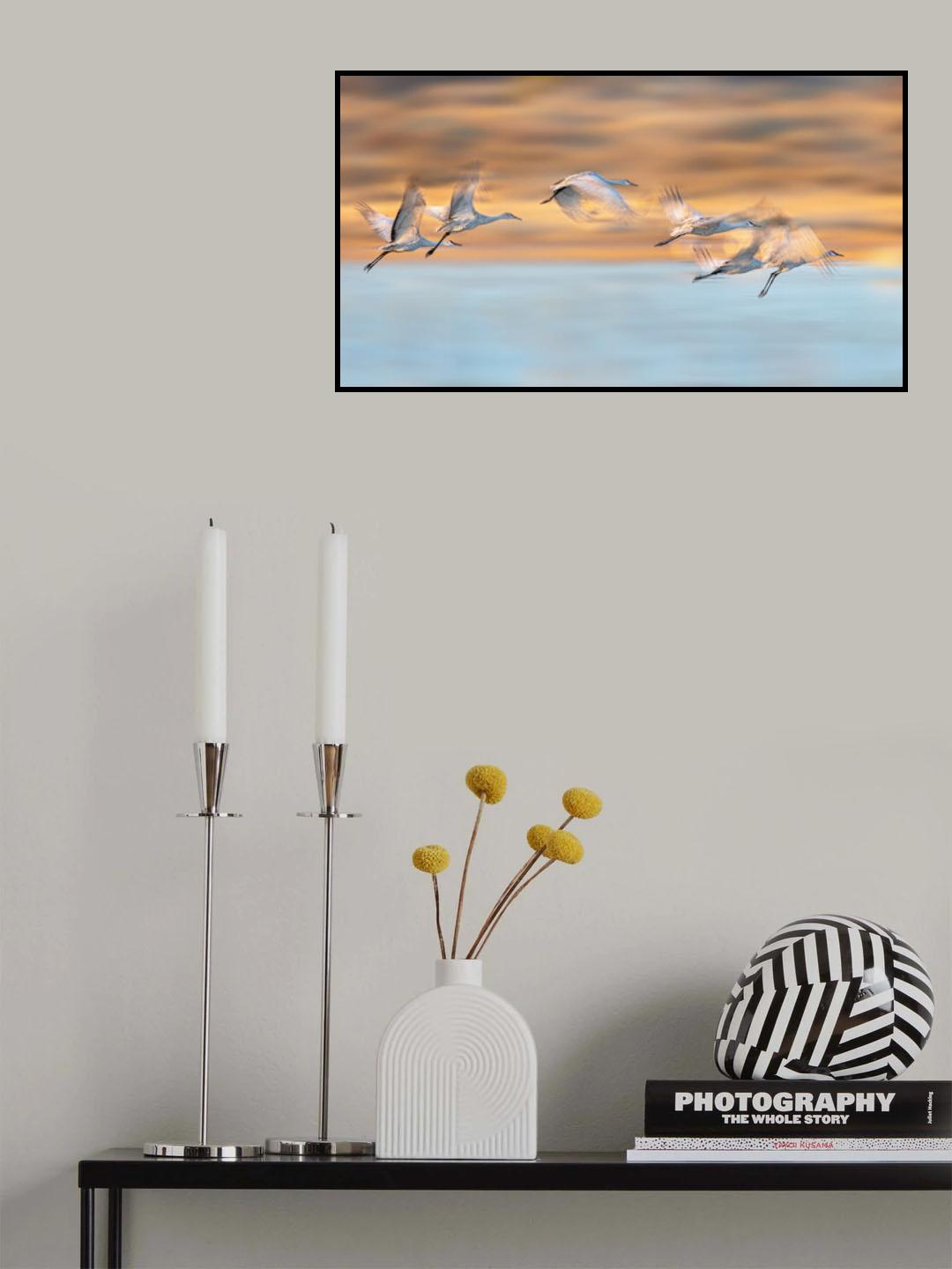 Flamboyant Poster och Canvastavla
