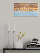 Flamboyant Poster och Canvastavla