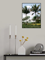 Tetebatu Lombok Poster och Canvastavla