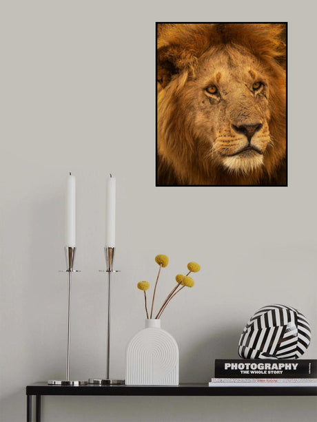 The King Poster och Canvastavla