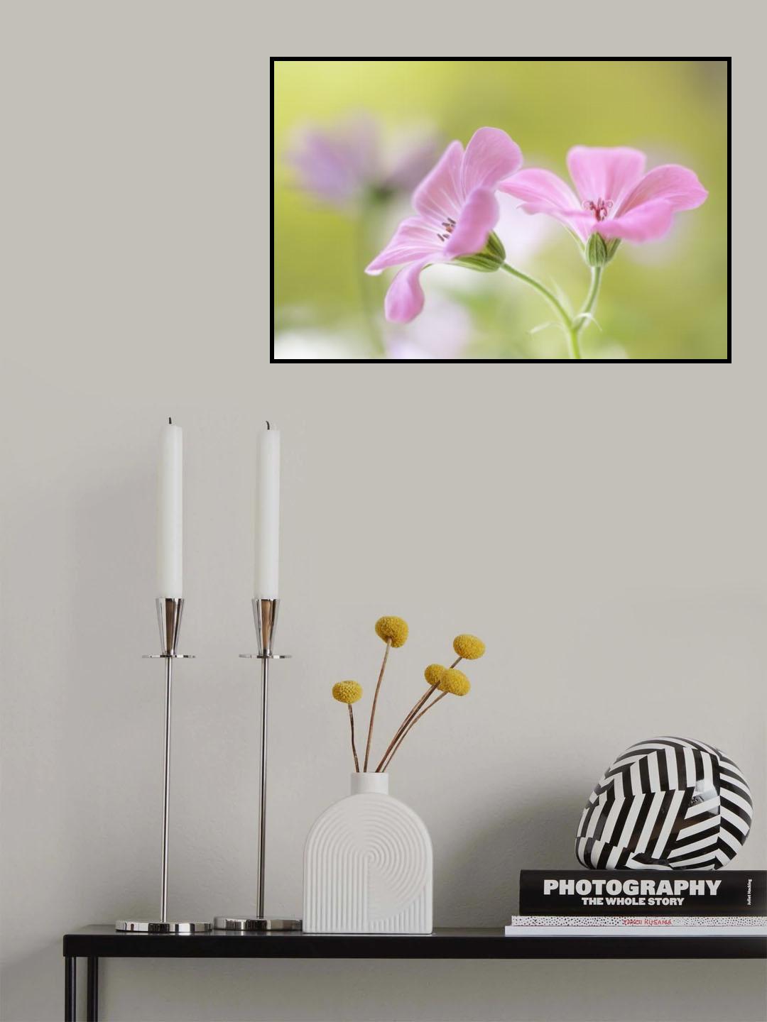 Pink Melody Poster och Canvastavla