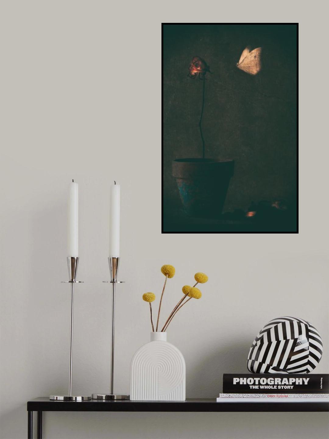 Mon amie la rose... Poster och Canvastavla