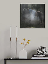 * Poster och Canvastavla