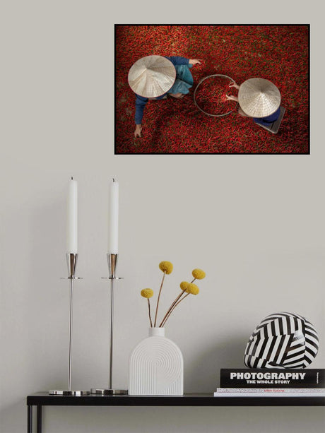 Chilli Poster och Canvastavla