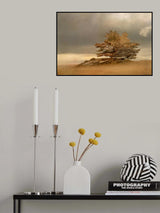 Pine and dunes Poster och Canvastavla