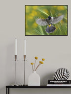 Poster och Canvastavla
