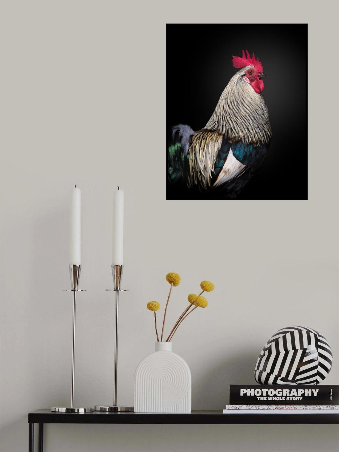 Le Coq Poster och Canvastavla