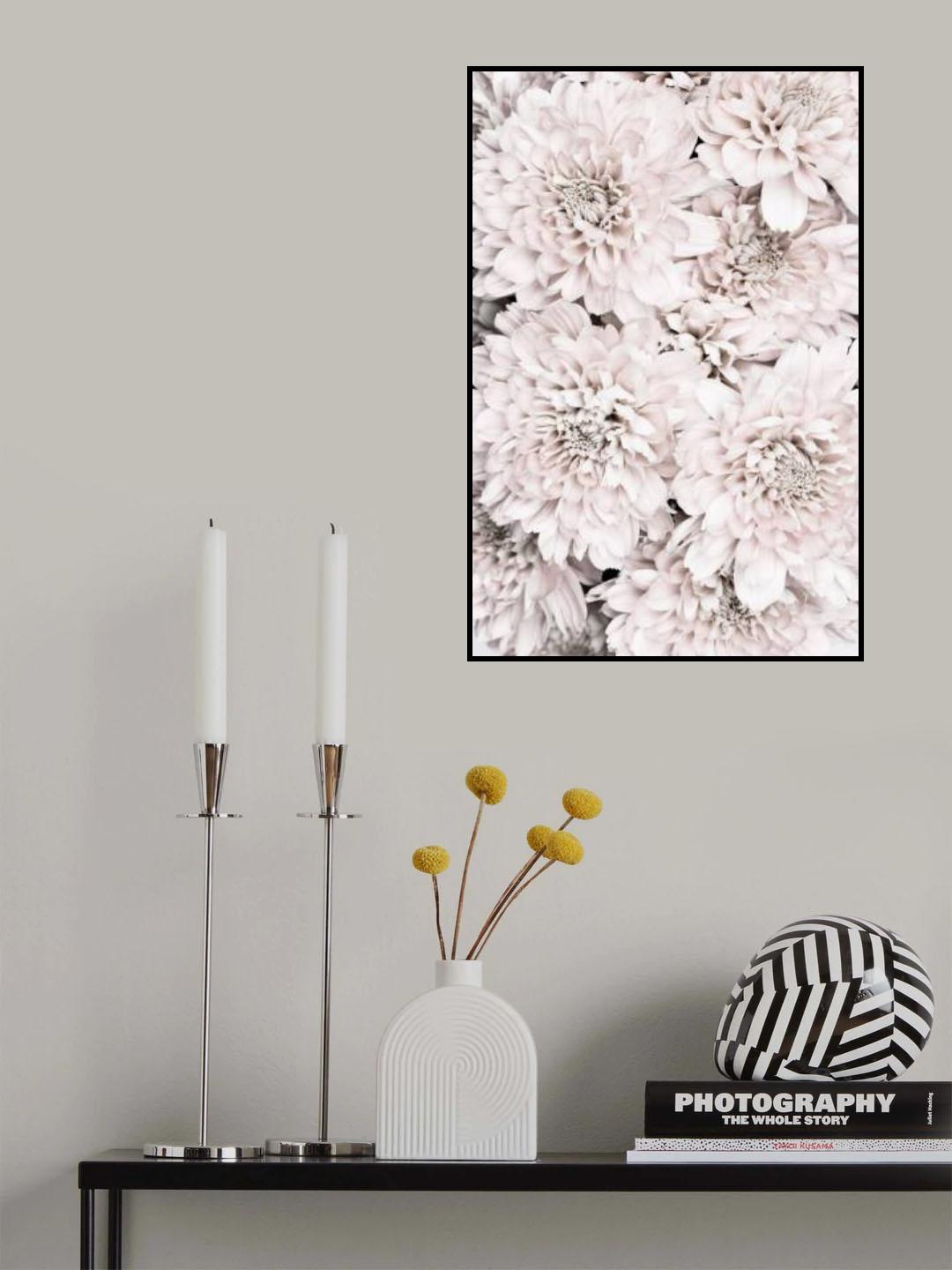 Chrysanthemum No 09 Poster och Canvastavla