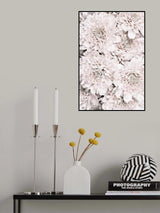 Chrysanthemum No 09 Poster och Canvastavla