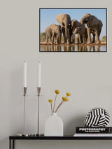 Family Portrait Poster och Canvastavla