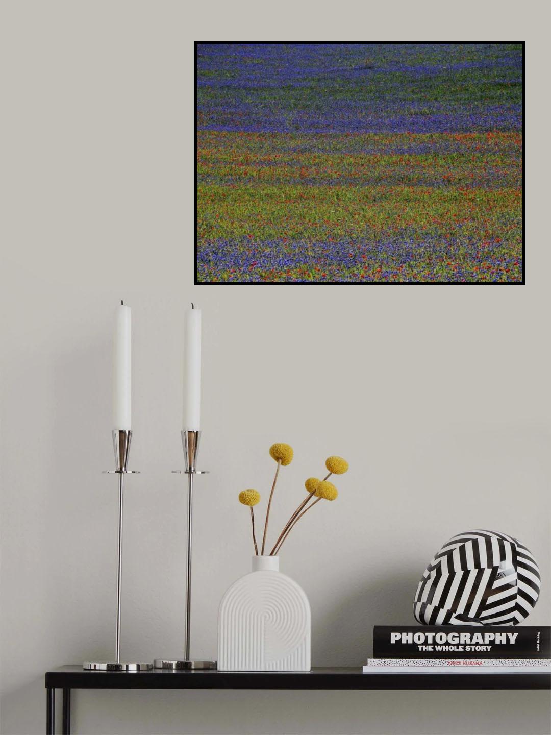 get lost Poster och Canvastavla