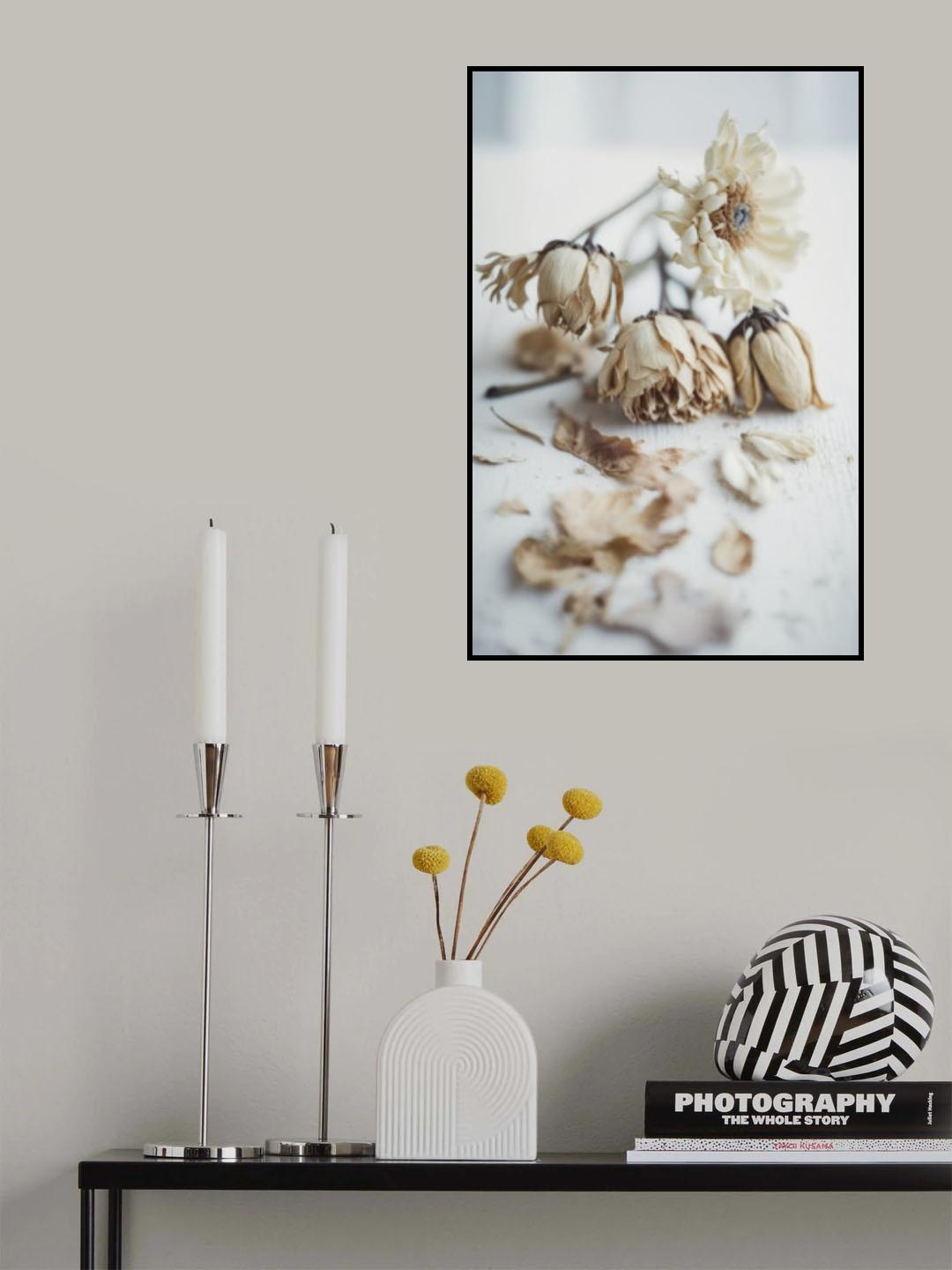 Transience Poster och Canvastavla