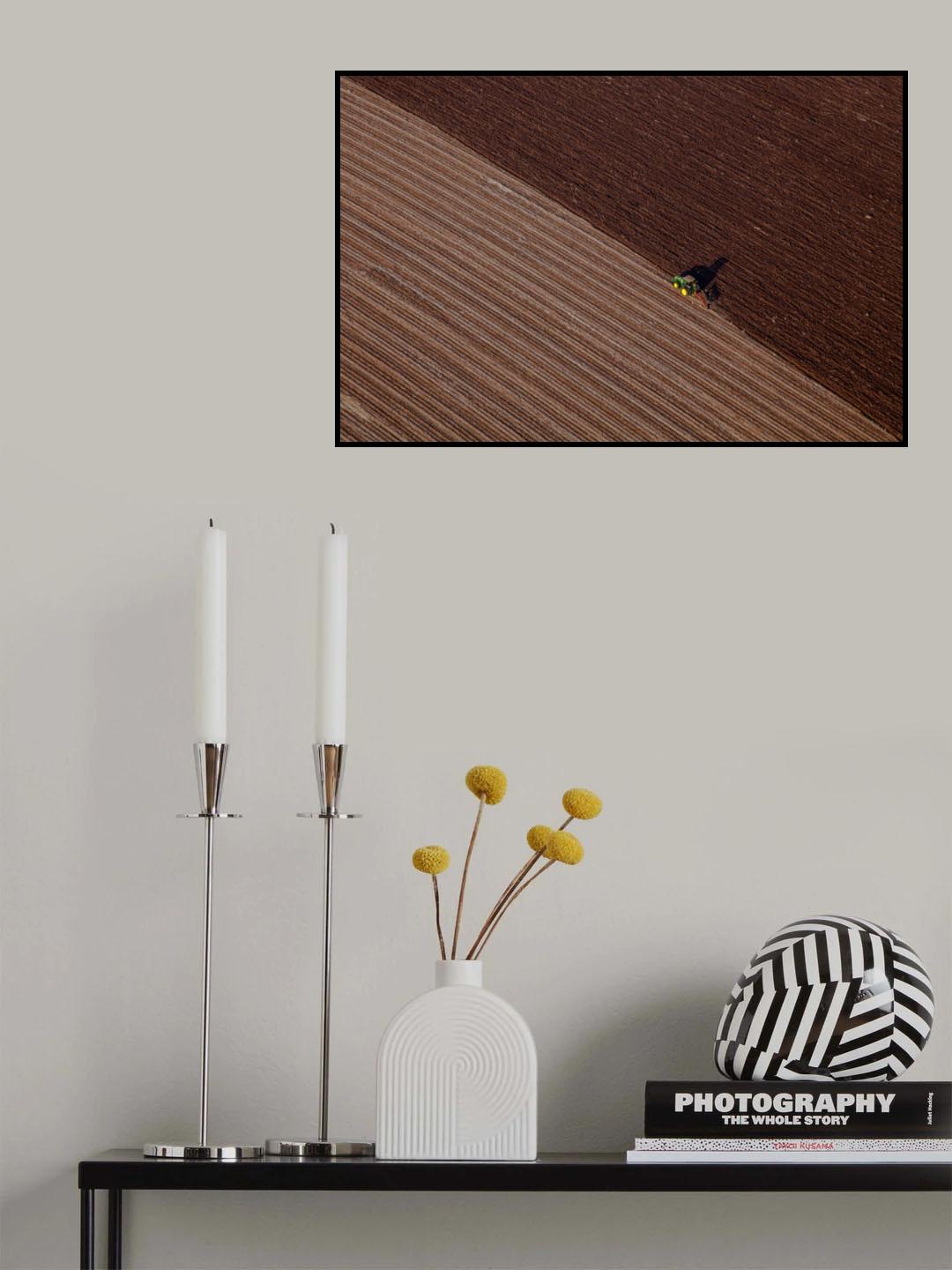 Sisyphus Poster och Canvastavla