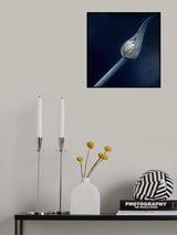 éclosion II Poster och Canvastavla
