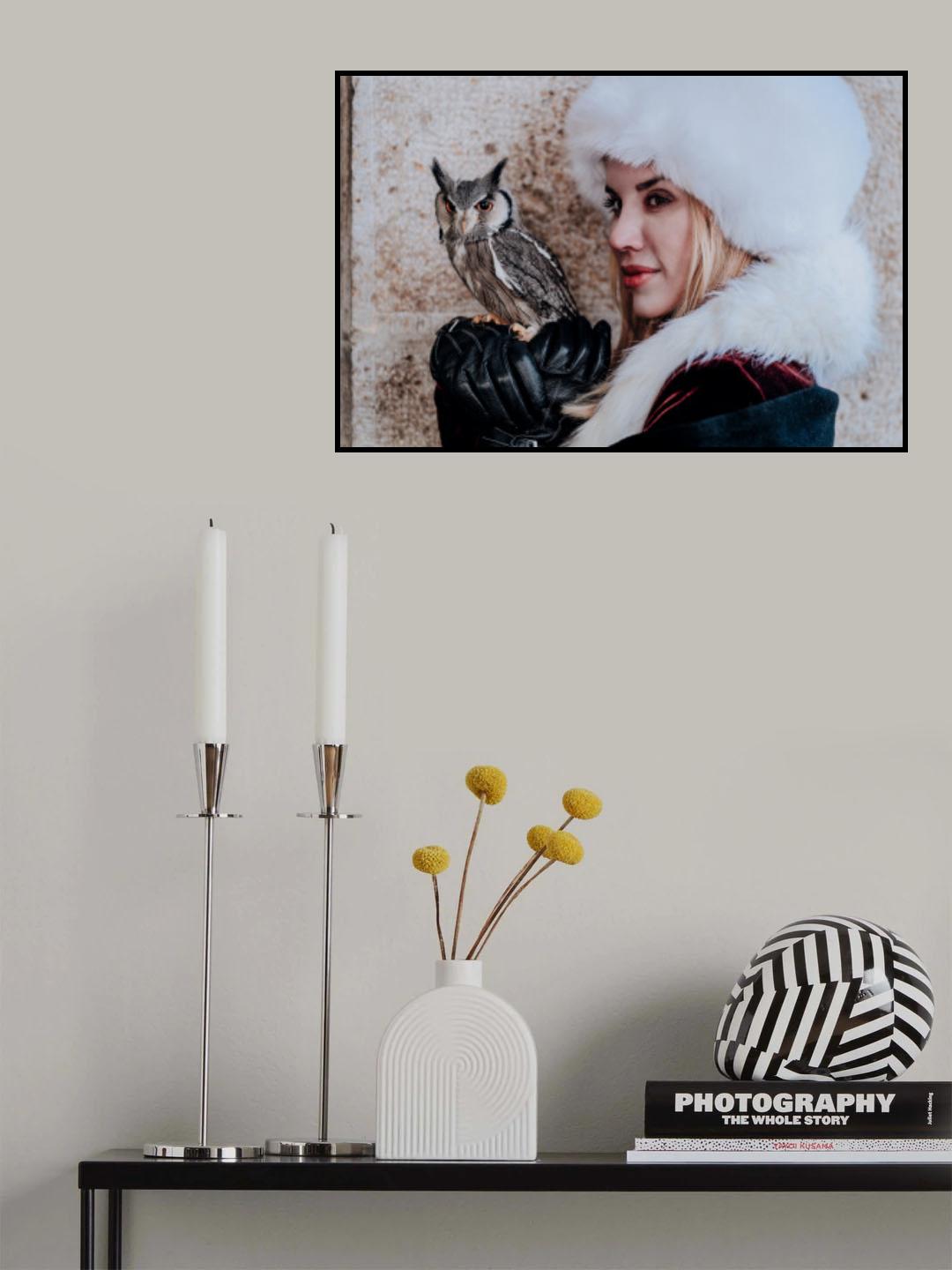 Beauty and owl Poster och Canvastavla