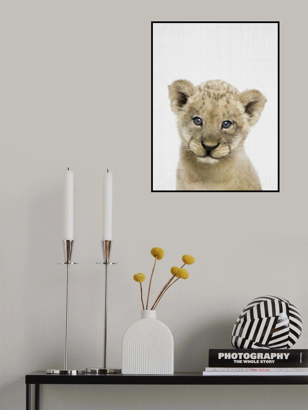 Peekaboo Baby Lion Poster och Canvastavla