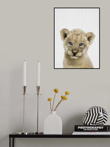 Peekaboo Baby Lion Poster och Canvastavla