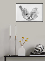 Ballerina Inside the cloth Poster och Canvastavla
