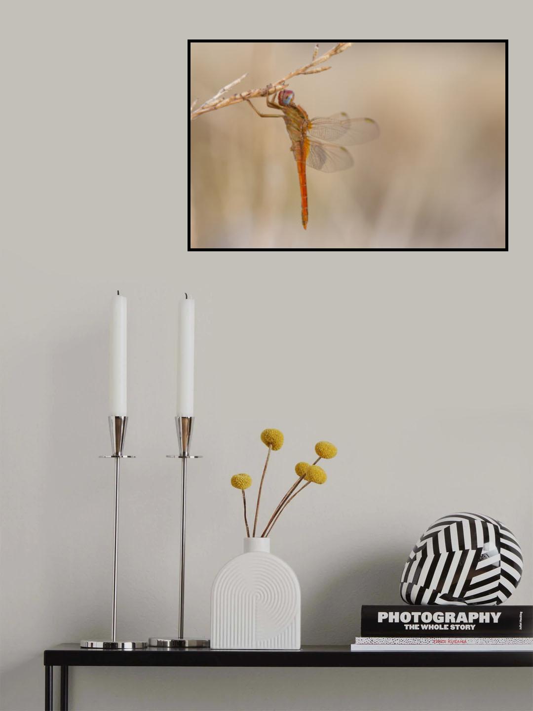 Dragonfly Poster och Canvastavla