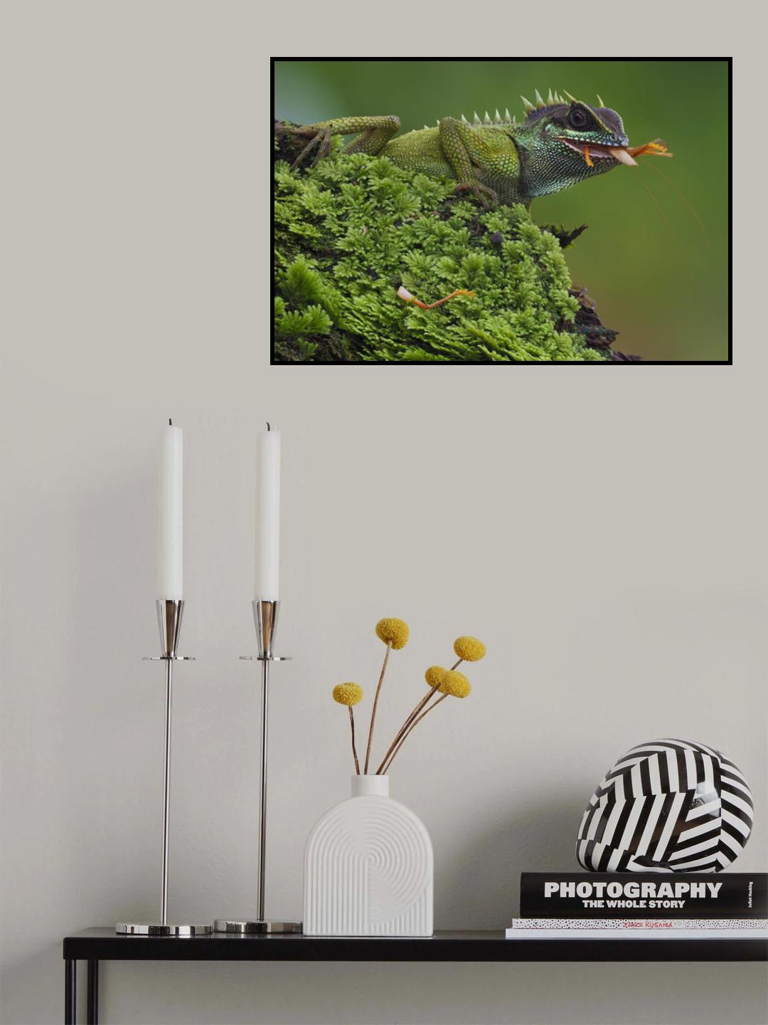 Acanthosaura nataliae Poster och Canvastavla