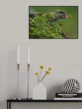 Acanthosaura nataliae Poster och Canvastavla