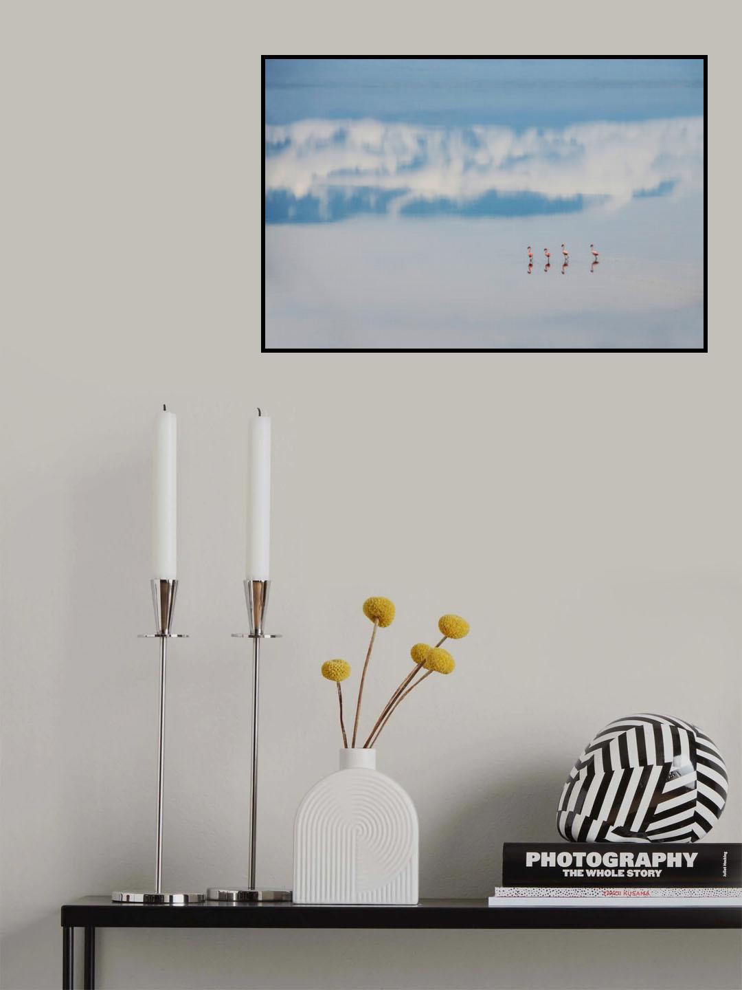 Four flamingos Poster och Canvastavla