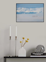 Four flamingos Poster och Canvastavla