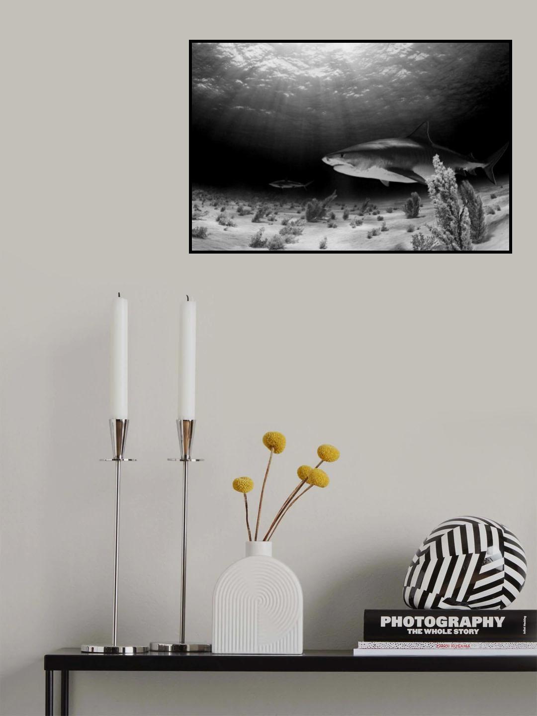 Dark Tiger Poster och Canvastavla