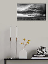 Twisted Poster och Canvastavla