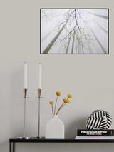 The branch Poster och Canvastavla
