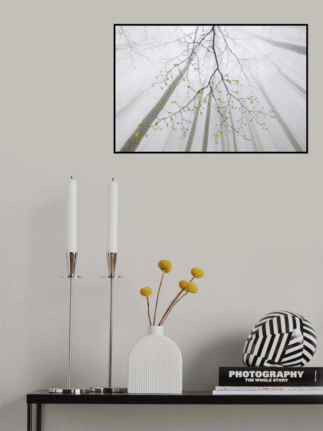 The branch Poster och Canvastavla