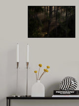 The Magic wood Poster och Canvastavla
