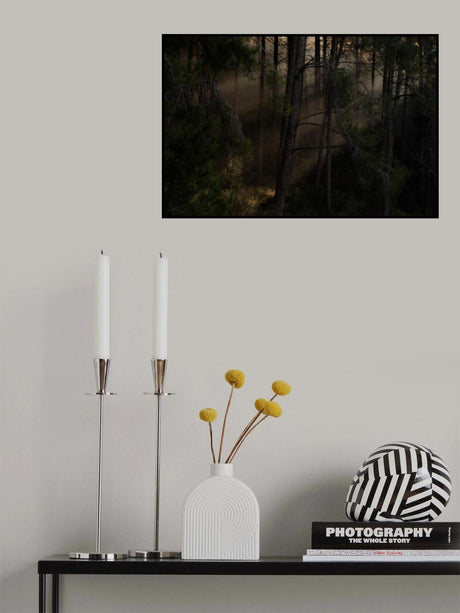The Magic wood Poster och Canvastavla