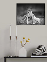Motherliness Poster och Canvastavla