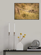 I want to play with You Poster och Canvastavla