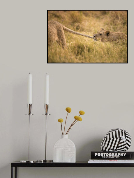 I want to play with You Poster och Canvastavla