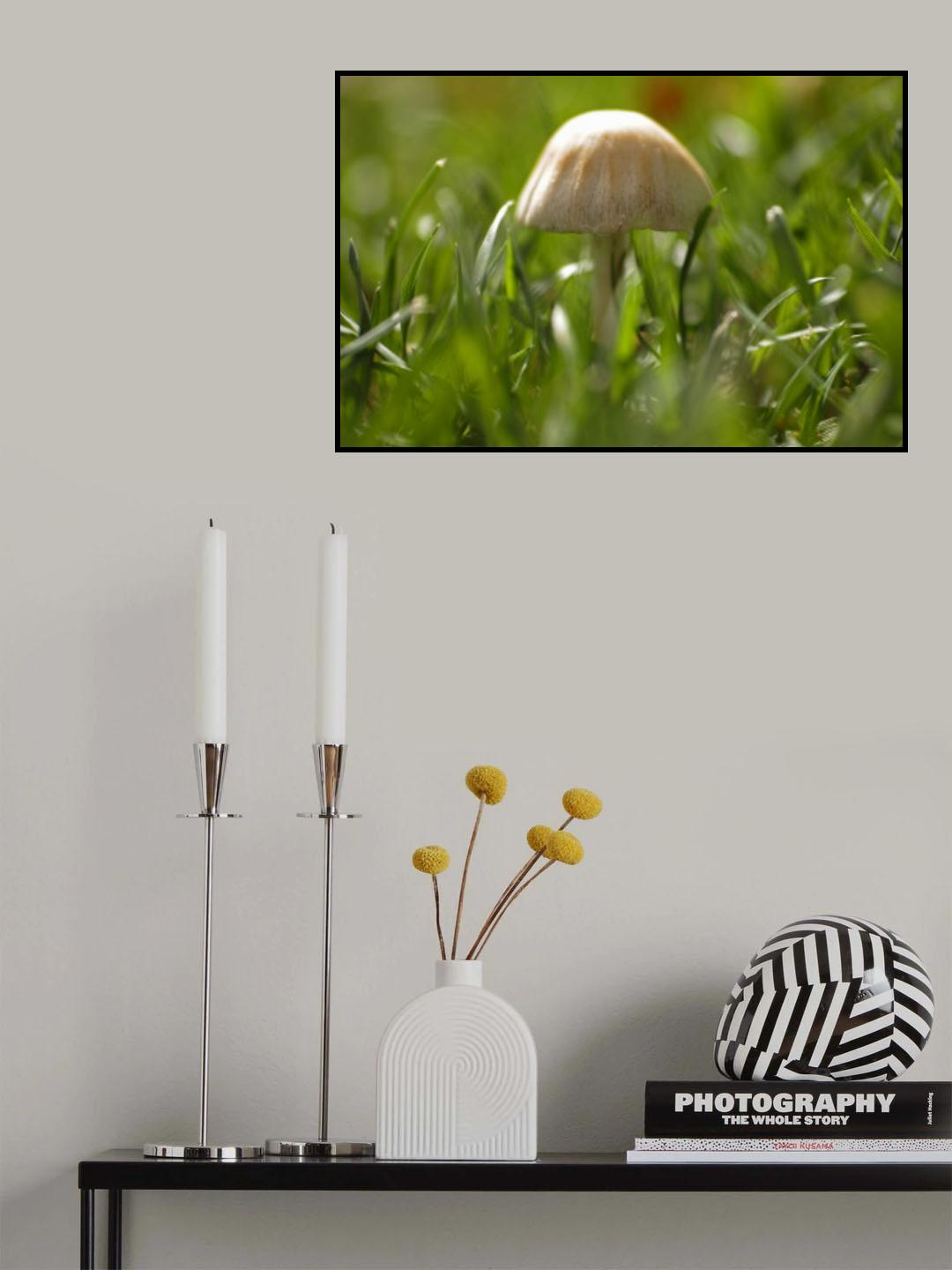 MUSHROOM Poster och Canvastavla