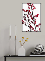 Red Berries 1 Poster och Canvastavla