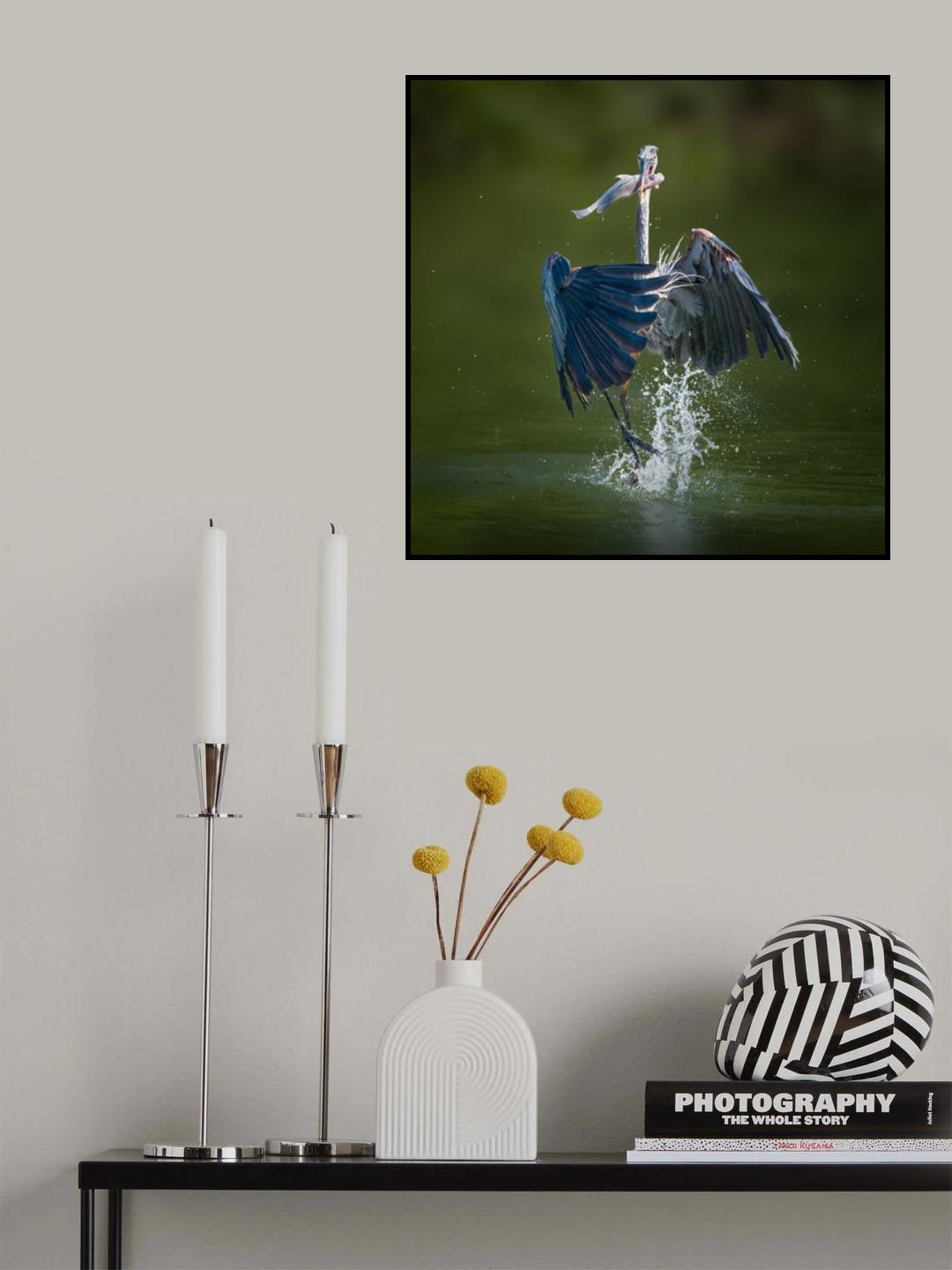 Here I Come Poster och Canvastavla