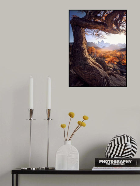 Poster och Canvastavla